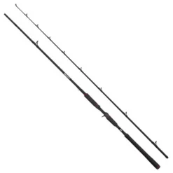 Abu Garcia Beast Pike Baitcasting Rod